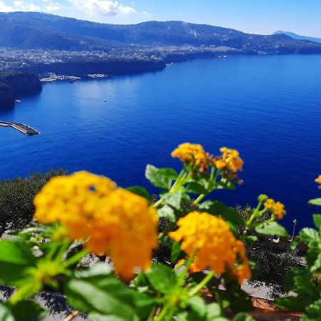 Bella Vista House-Sorrento Coast - Free Parking-Solarium Apartment Вико Екуензе Екстериор снимка