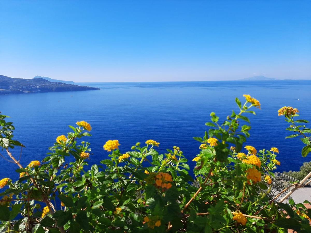 Bella Vista House-Sorrento Coast - Free Parking-Solarium Apartment Вико Екуензе Екстериор снимка